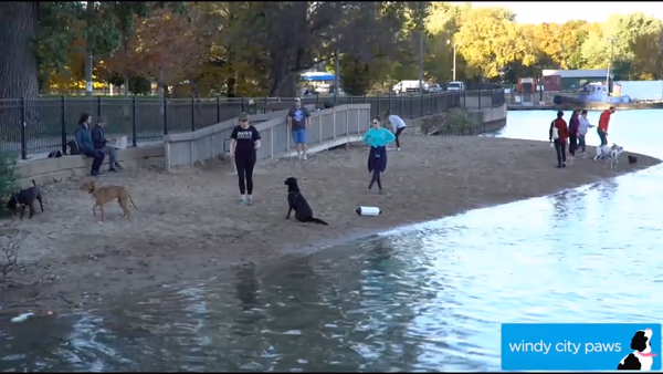 Hamlin Dog Friendly Area photo 1